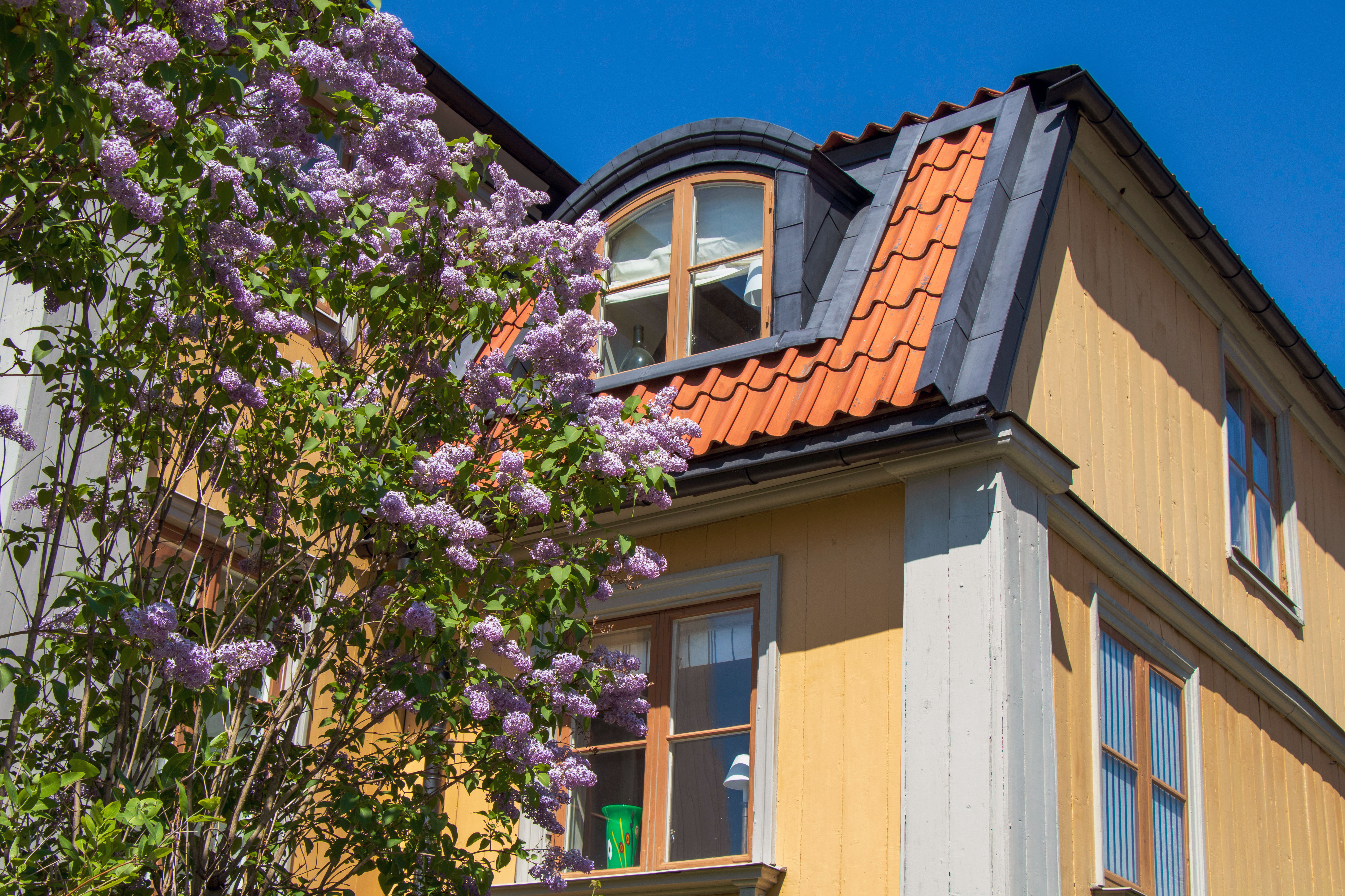 Inomhusklimat: Så håller du huset fräscht och svalt i sommar